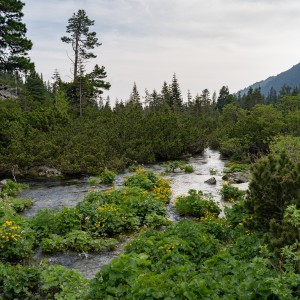 dsc06445