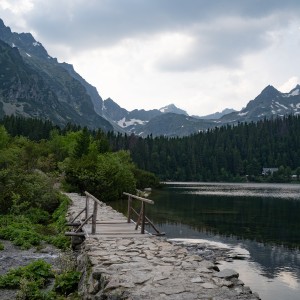dsc06452