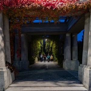 dsc00290