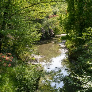 dsc05921
