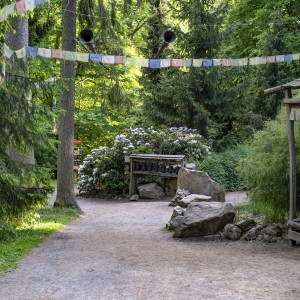 dsc05989