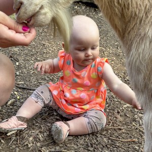 zoo ostrava